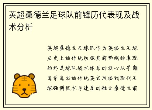 英超桑德兰足球队前锋历代表现及战术分析