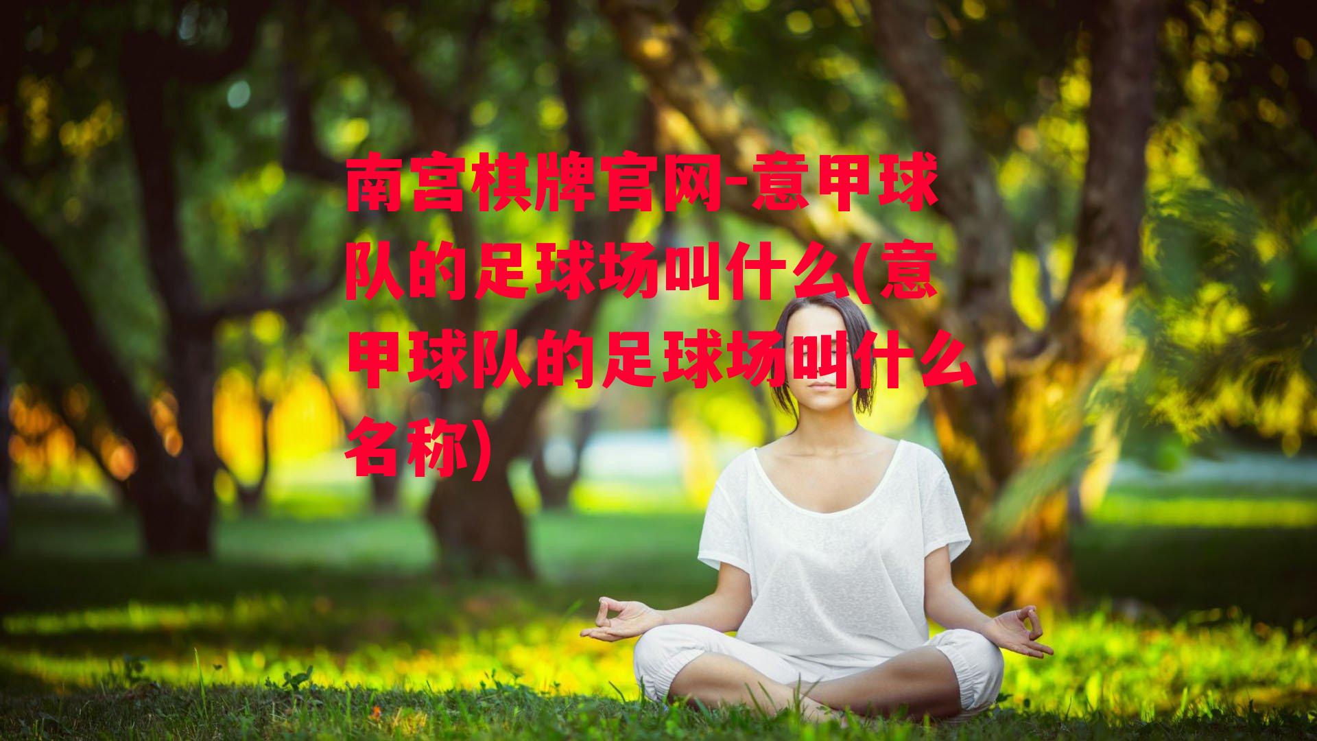 意甲球队的足球场叫什么(意甲球队的足球场叫什么名称)